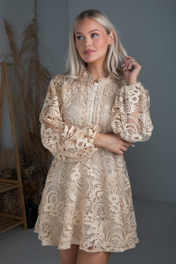 Touch Of Luxe Natural Crochet Mini Dress