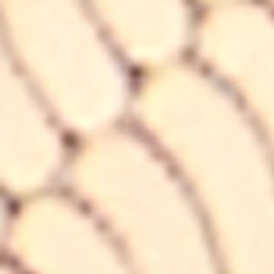 Seascharms