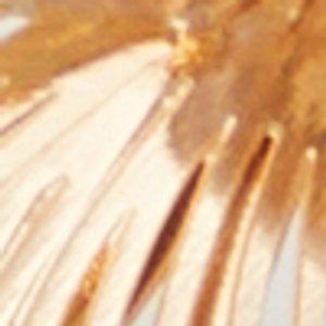 Petaldream