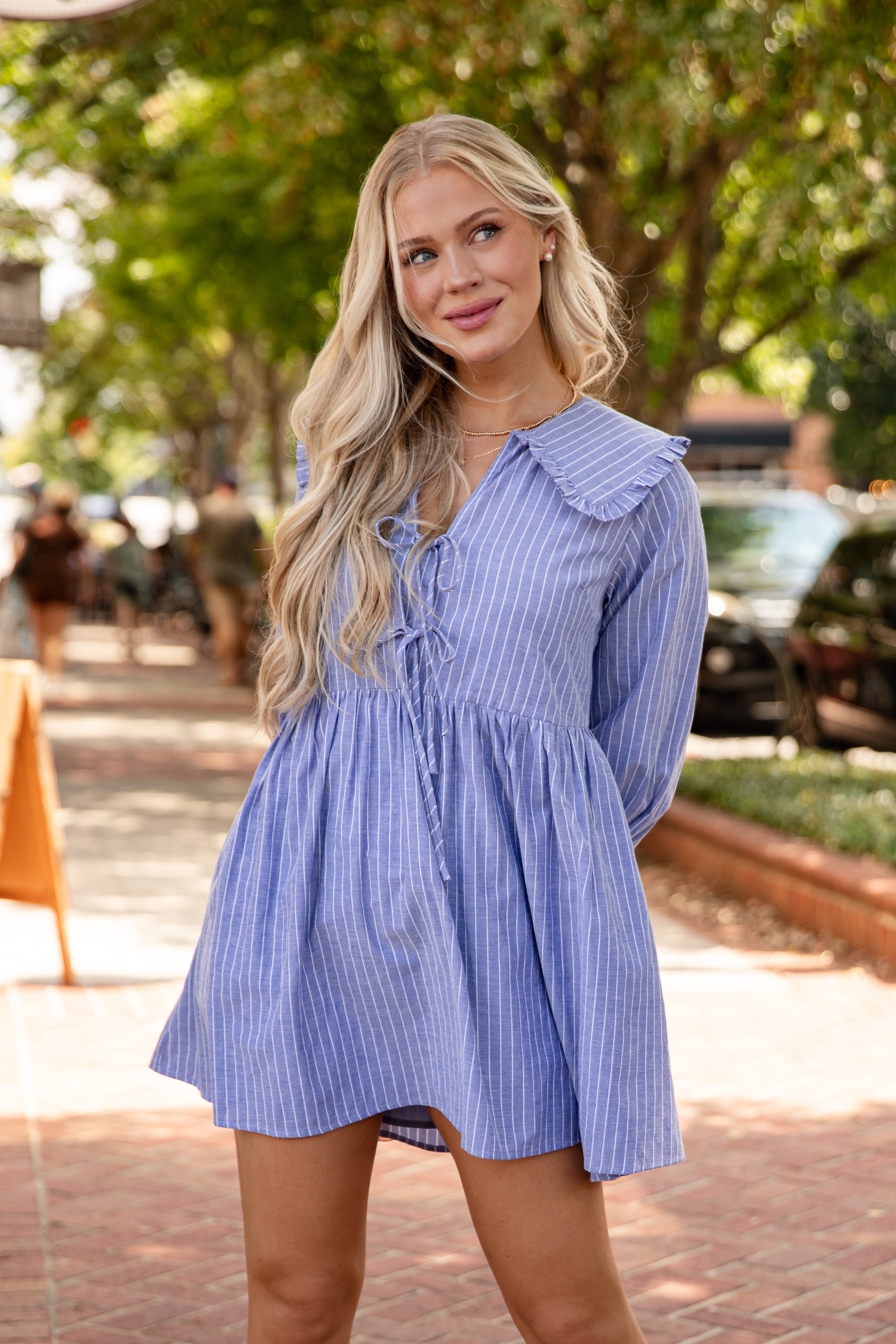 Romantic History Denim Striped Babydoll Mini Dress