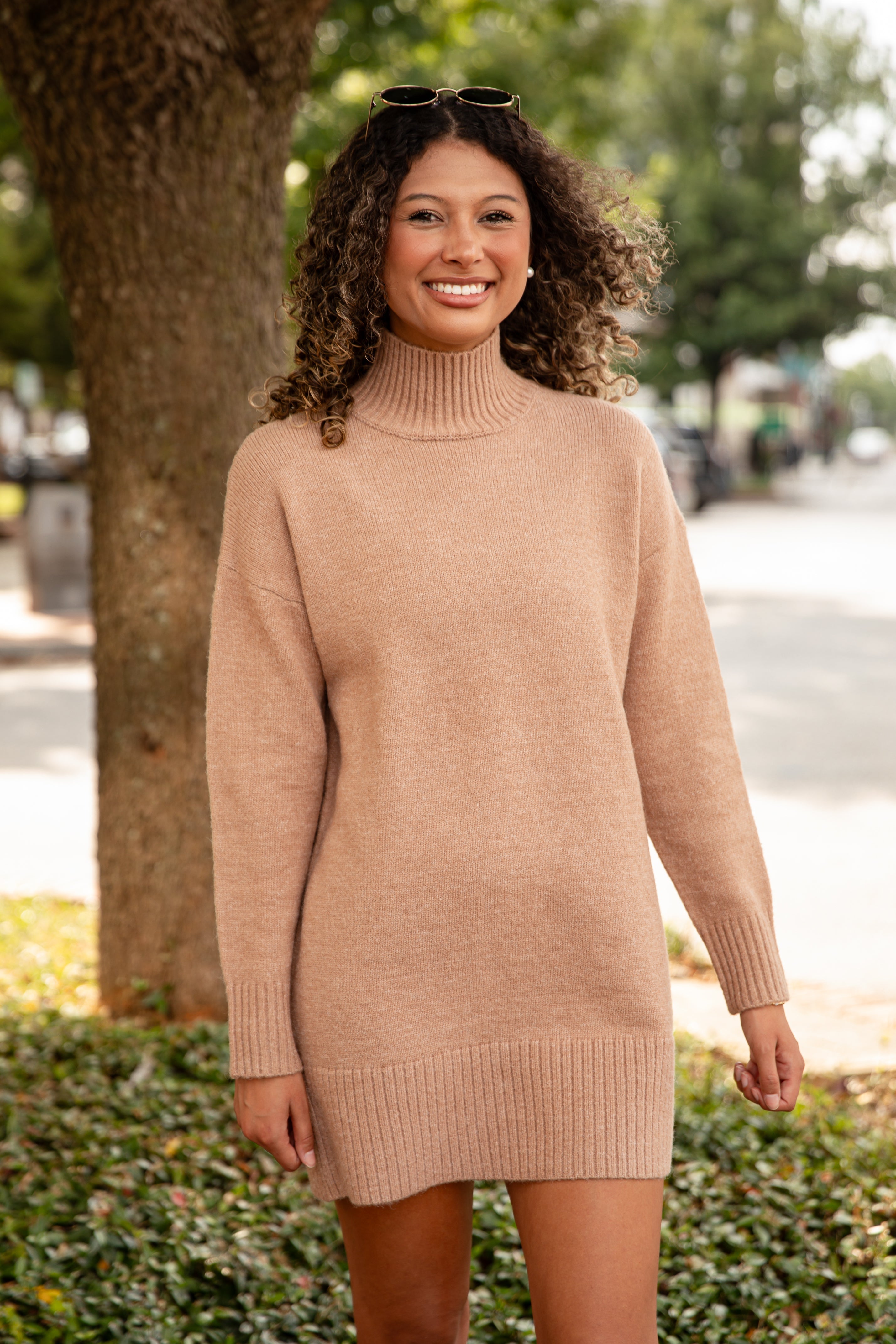 Sweet To Me Turtleneck Sweater Dress