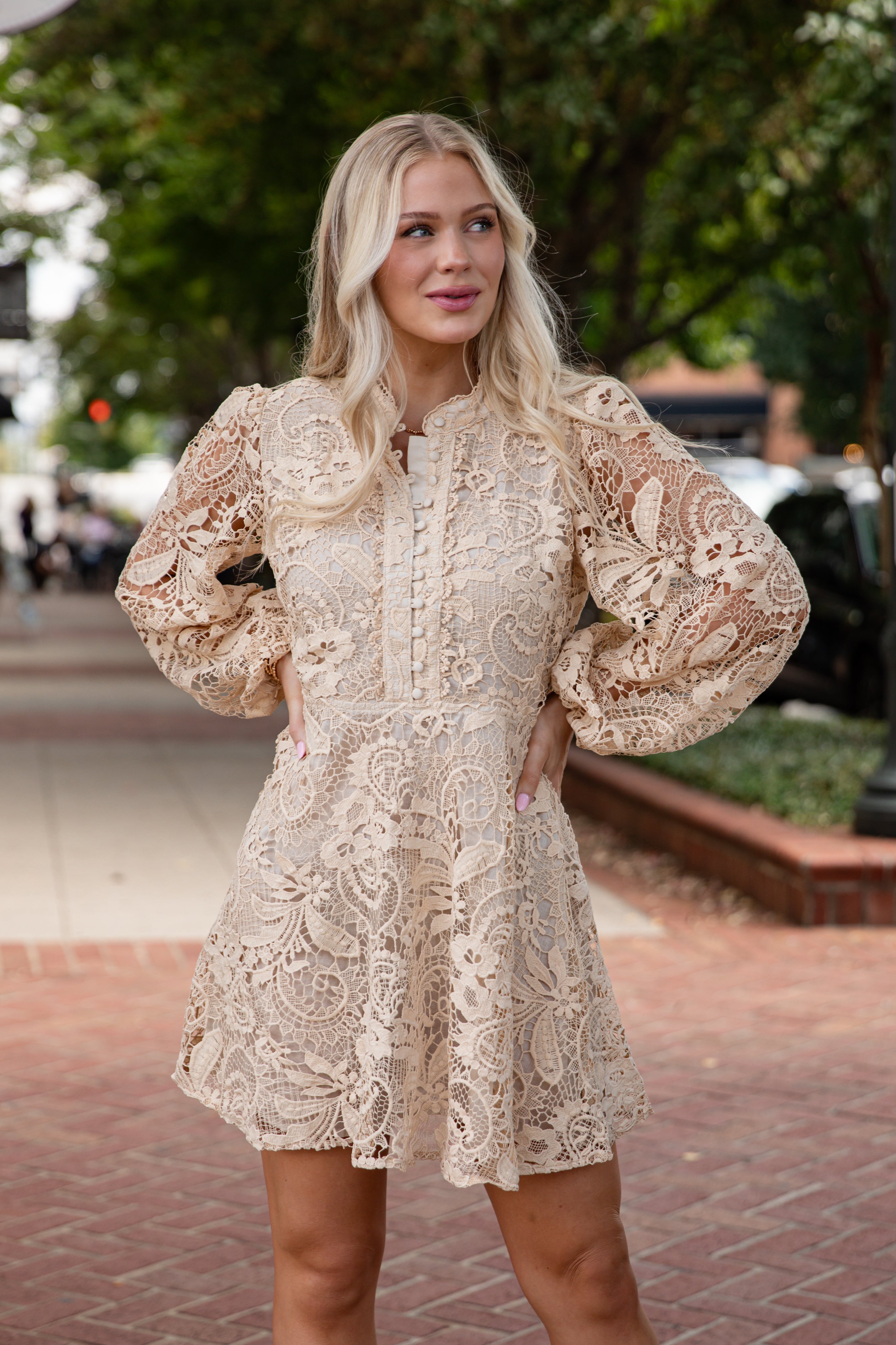 Touch Of Luxe Natural Crochet Mini Dress